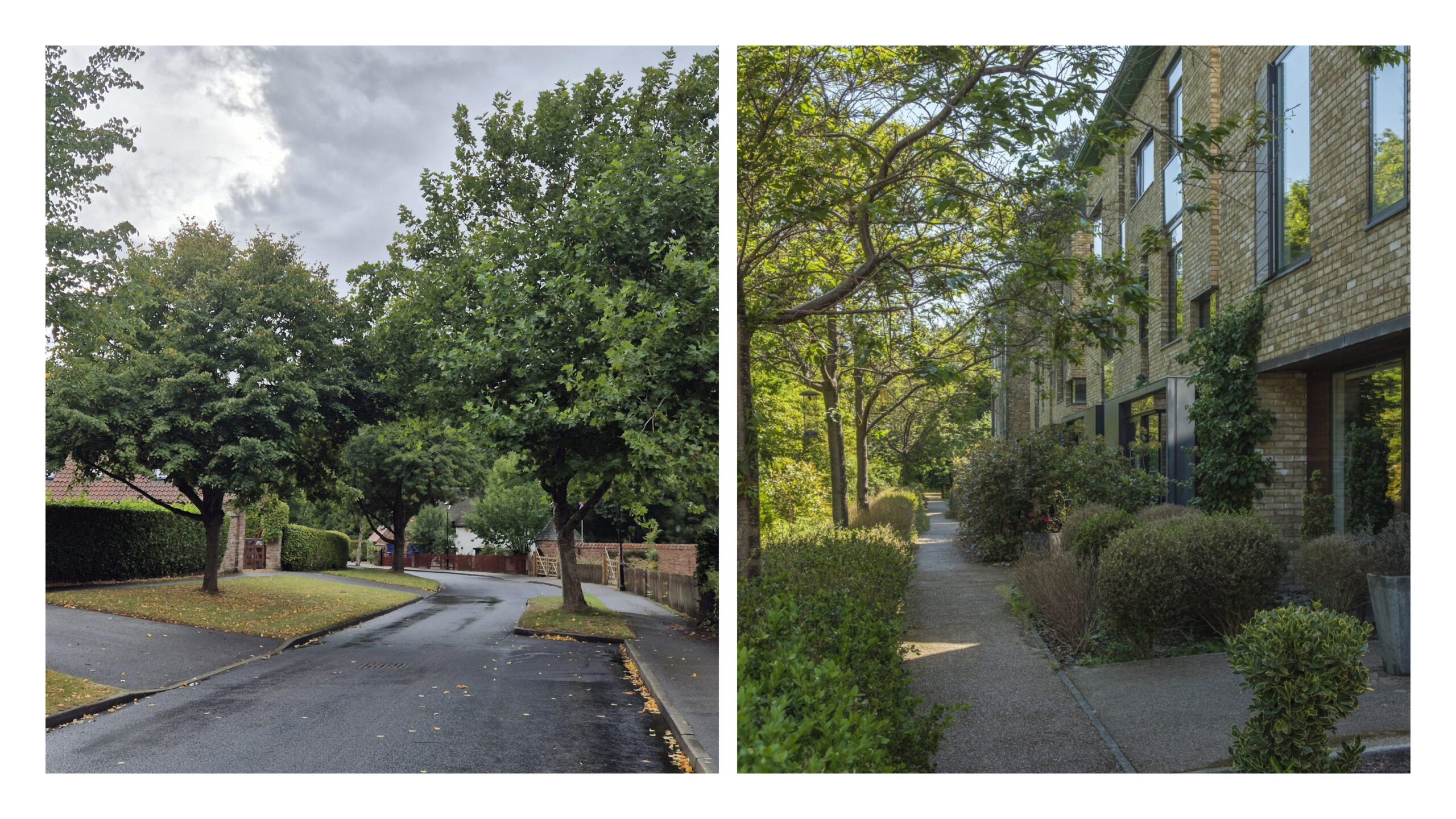 Well-integrated green infrastructure. Harmston and Accordia Cambridge