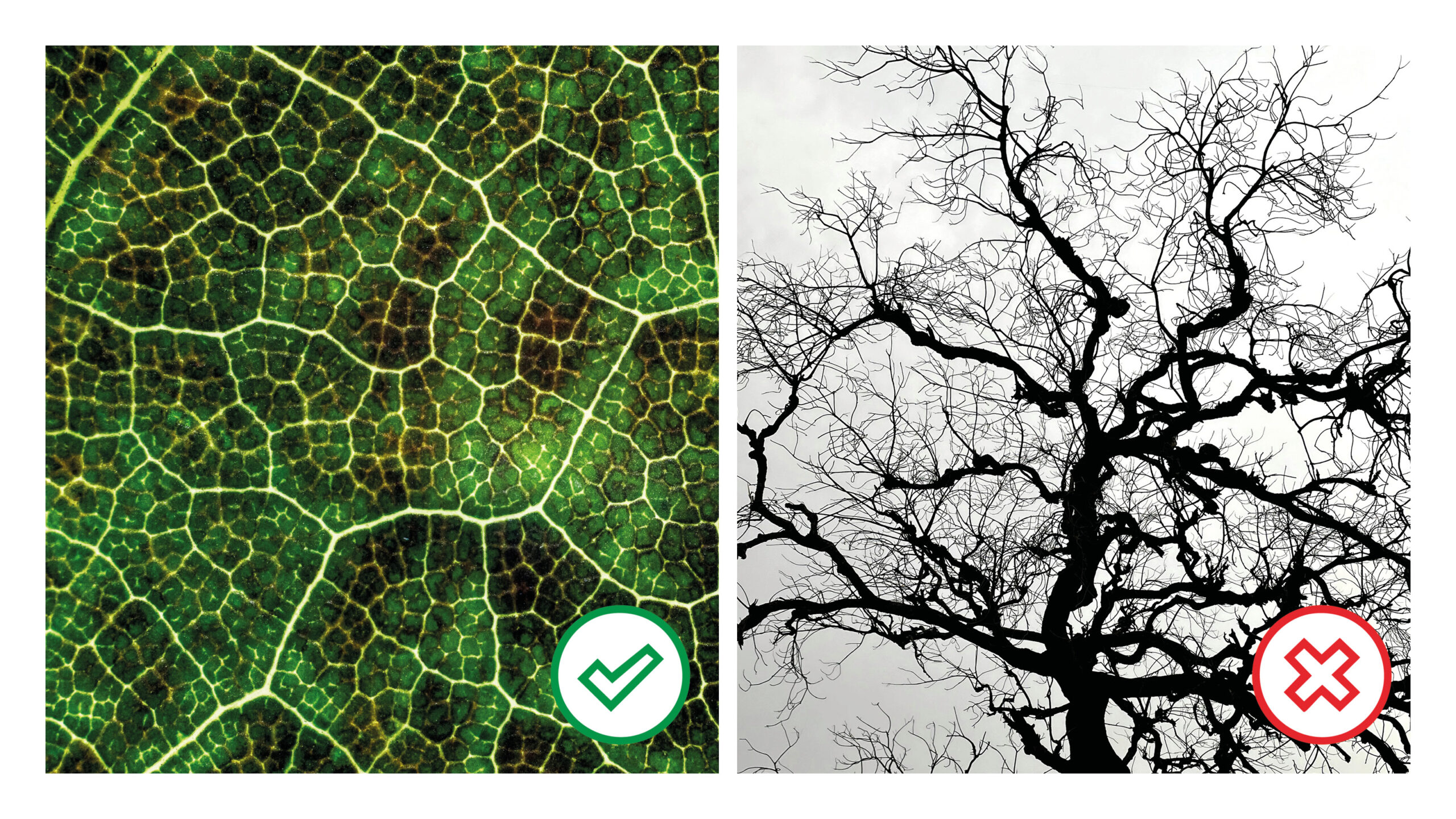 We want to create a leaf, rather than a tree.