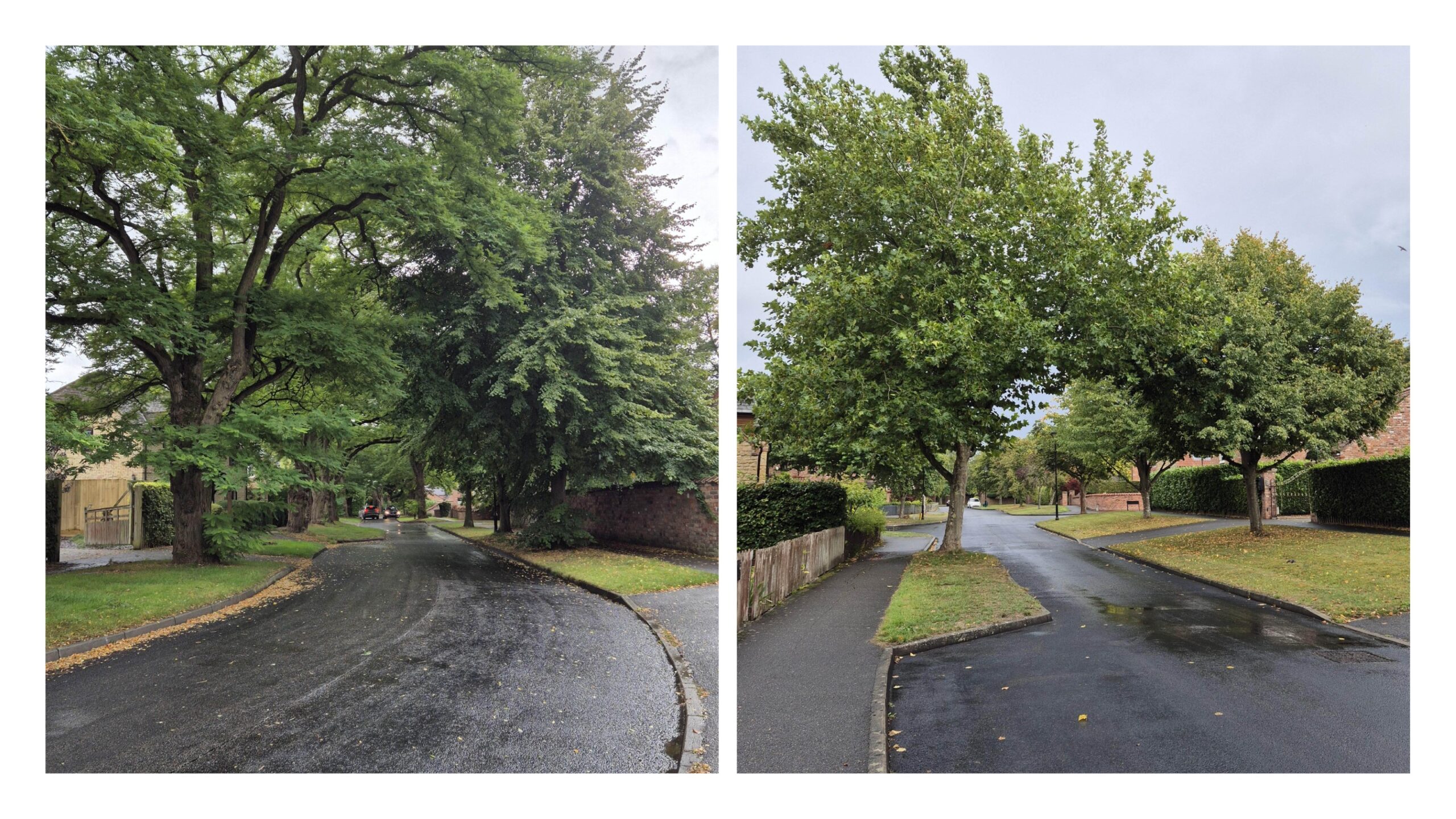 These streets in Harmston have varied widths which help provide a rural character.
