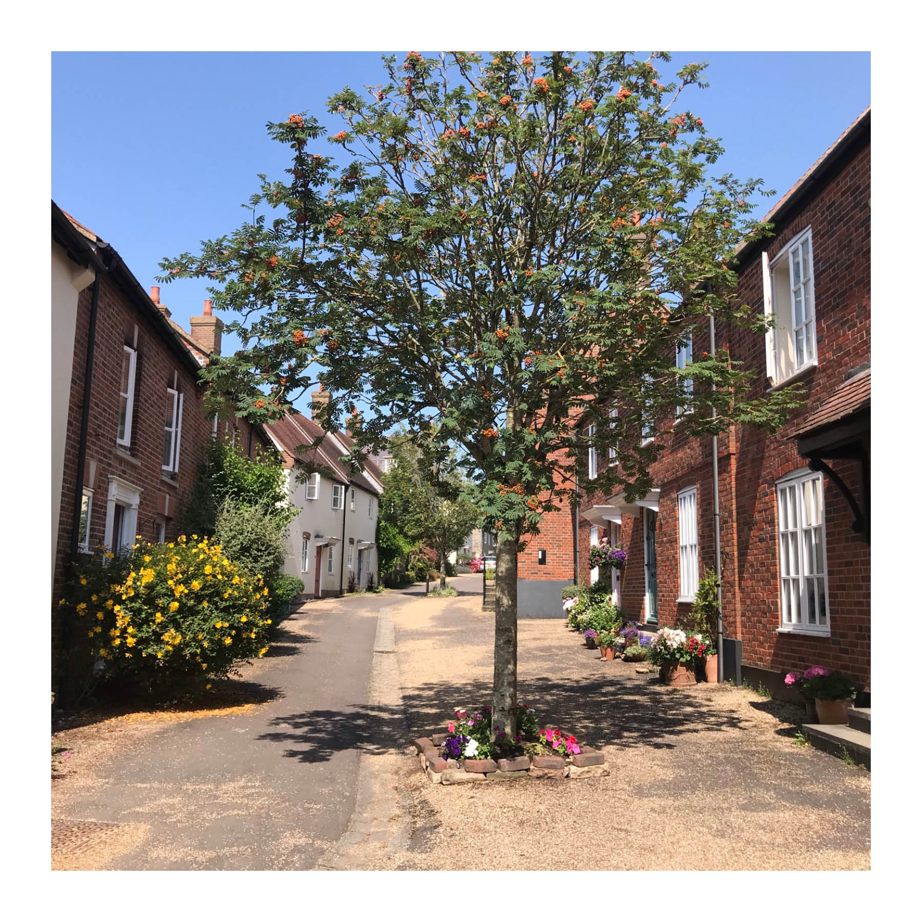 Trees and greenery can be integrated into any street, in this case a small residential mews.