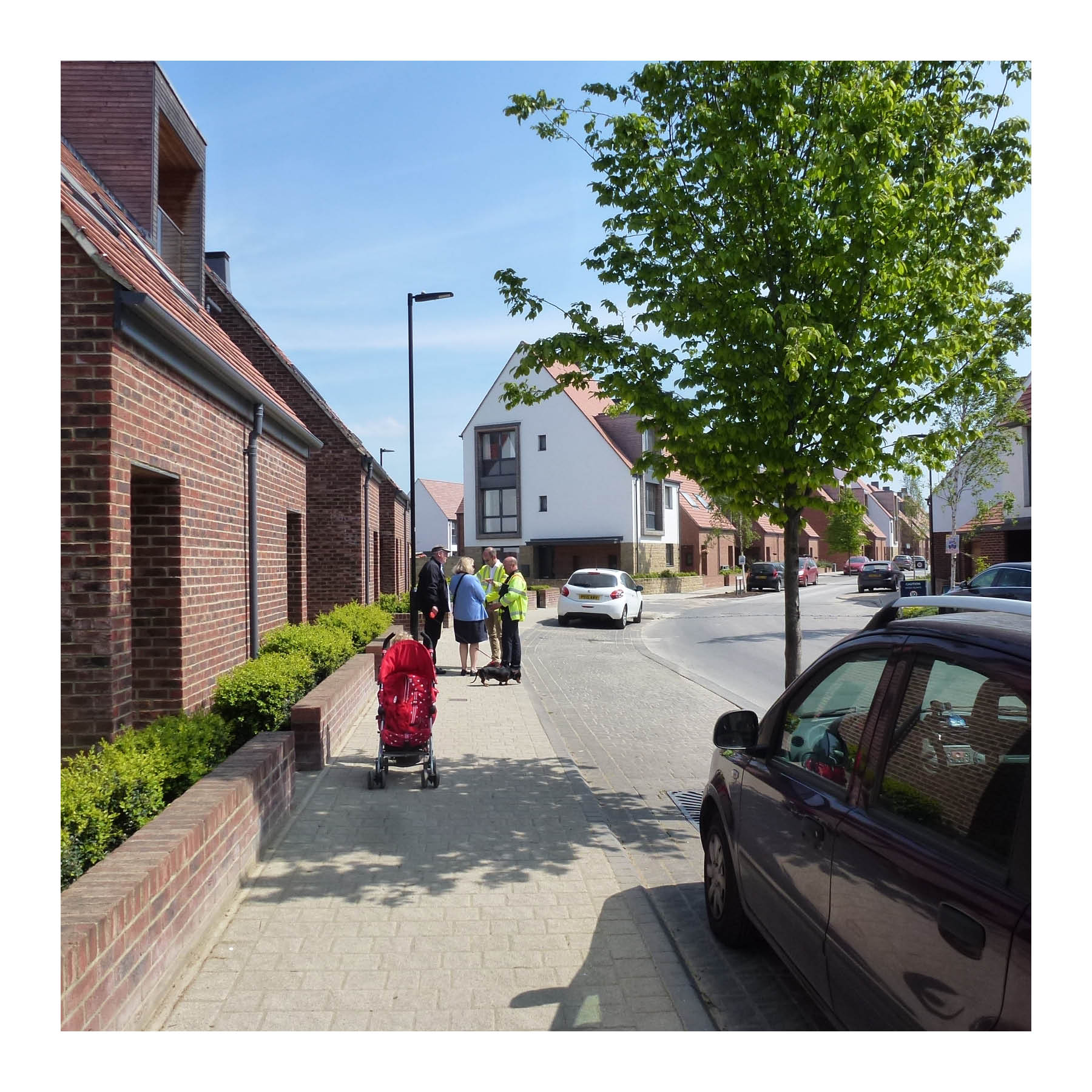 On-street parking broken up with trees in Derwenthorpe, York. (Andy Cameron)