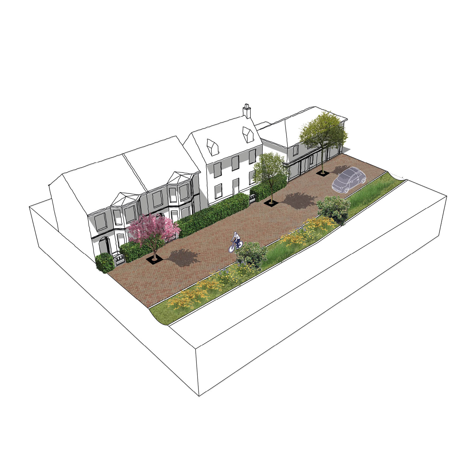 Shared Surface Street - Visualisation