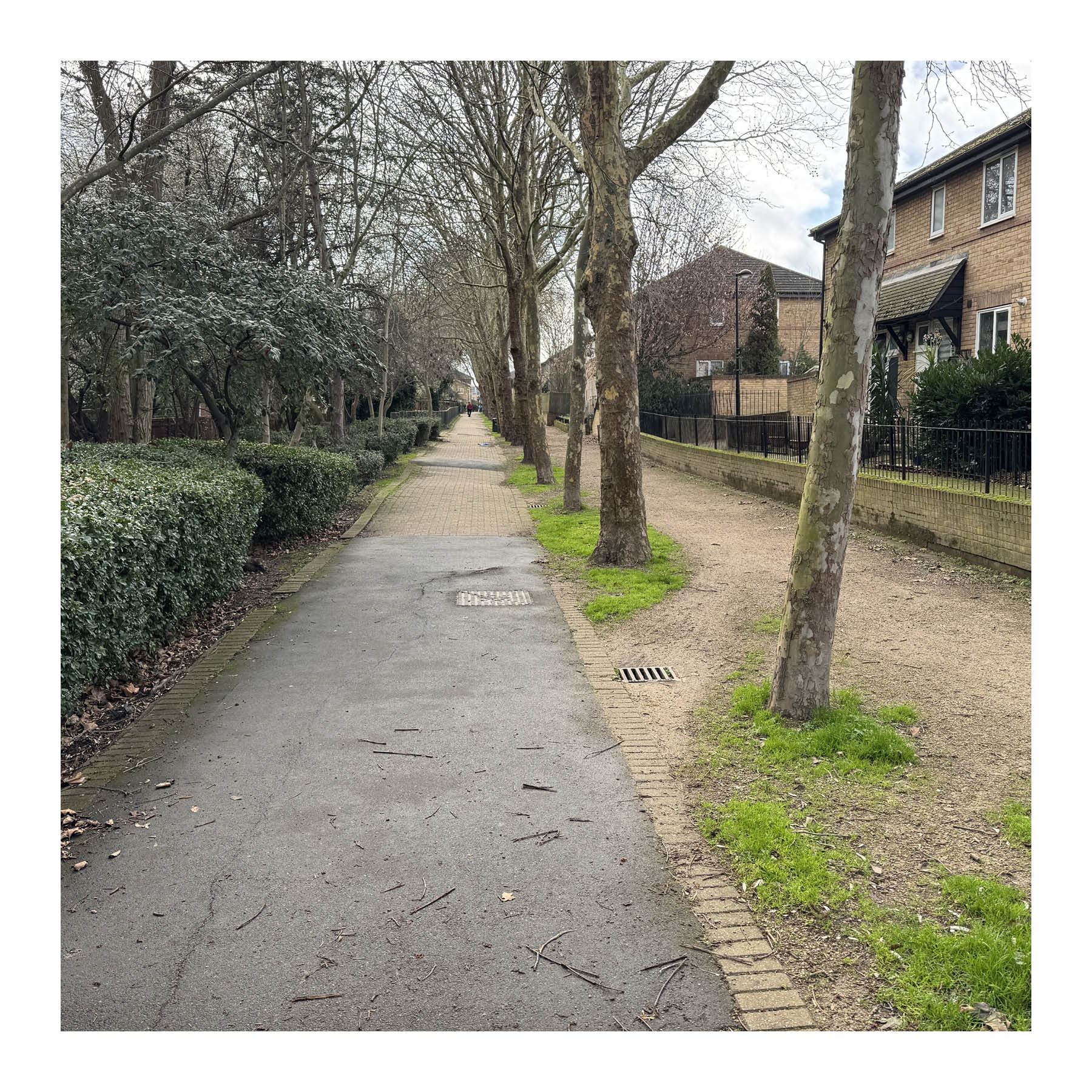 Example of a Cycling Street in London. Separation is provided by trees, however the quality of the paving surfaces is poor.