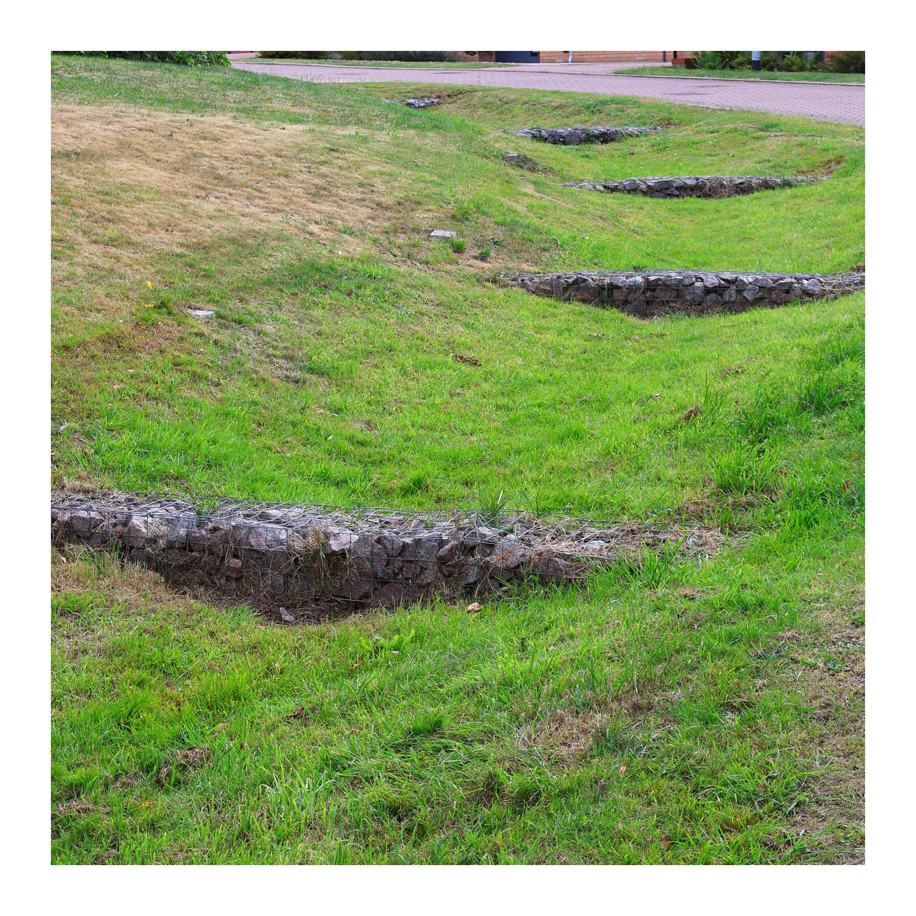 Example of a swale on a slope with regular check dams. Albion Close, Lincoln.