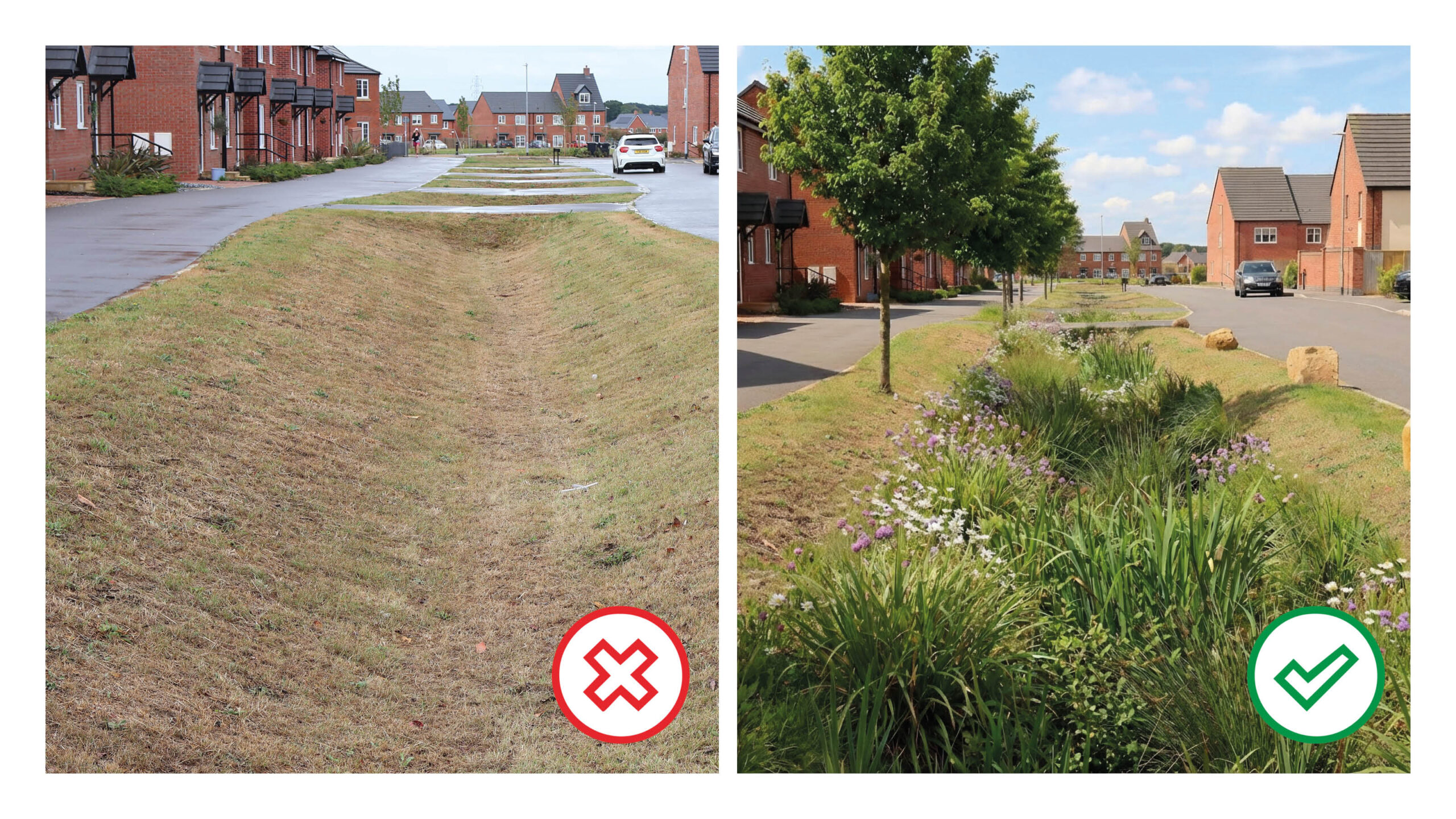 Comparison of a swale with and without biodiverse planting and parking deterrent