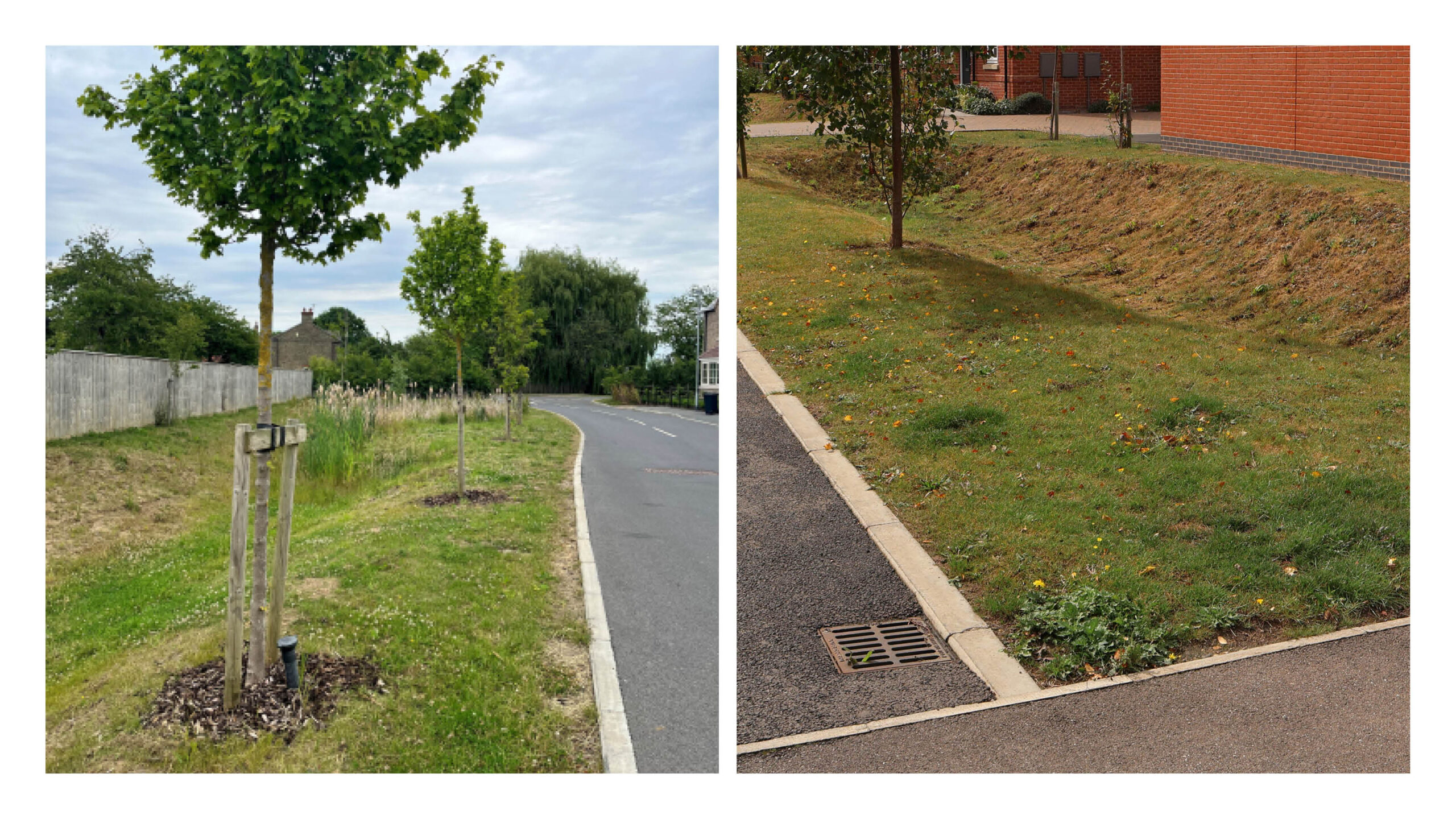 Examples of filter strips. Lodge Lane, Nettleham and Wallace Way, Boston - both discharging into a swale.