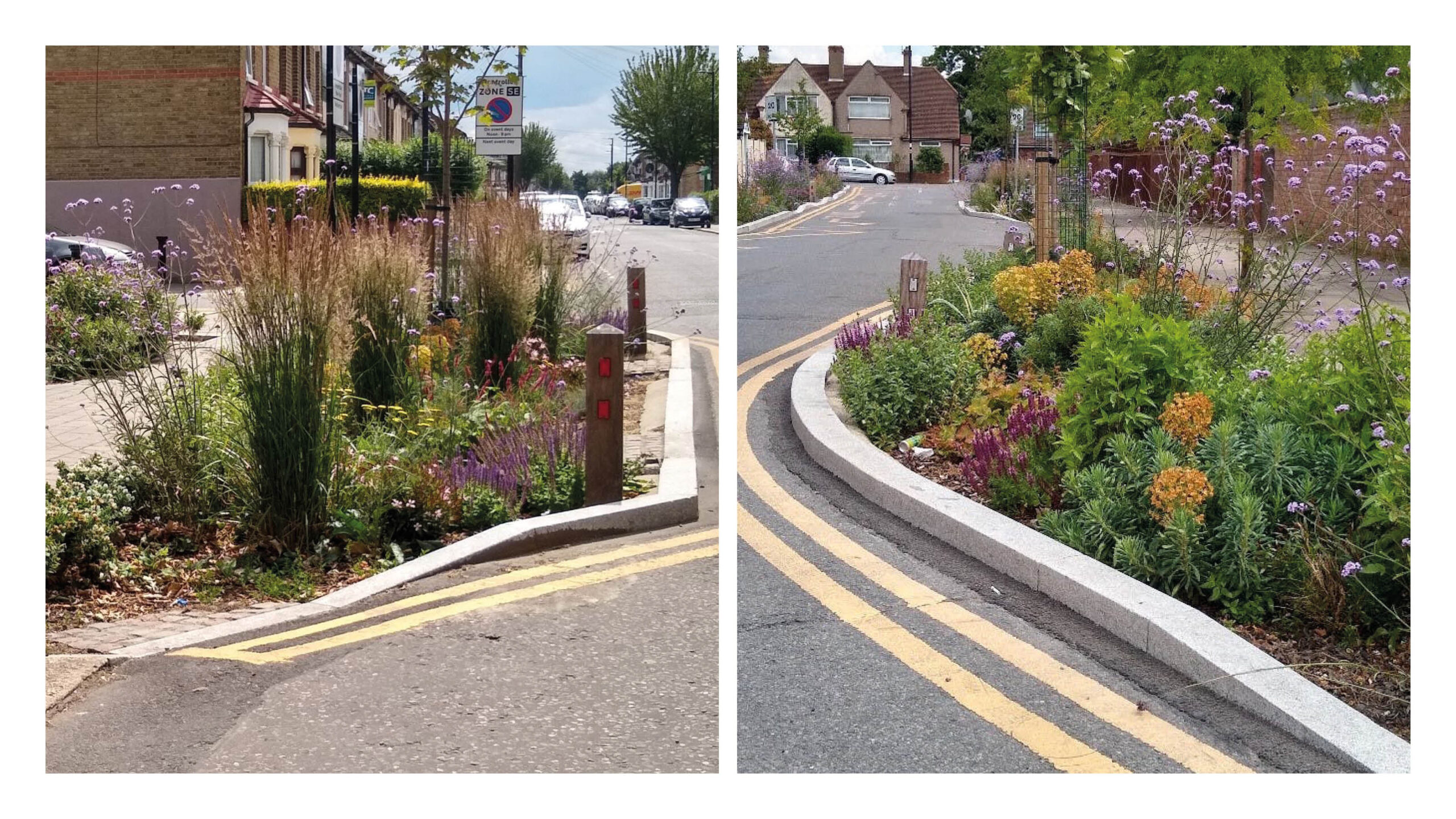 Examples of well-designed rain gardens. Enfield.
