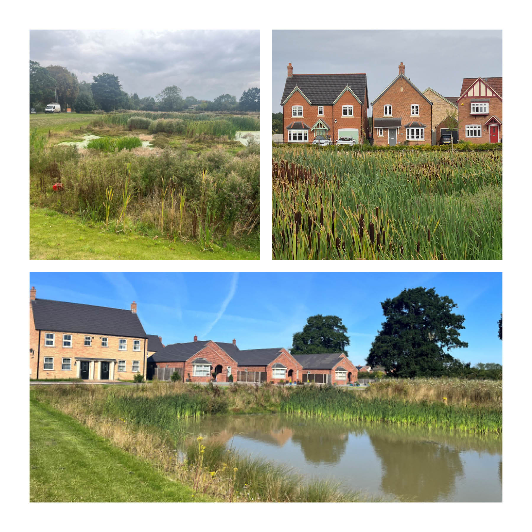 Examples of ponds in Lincolnshire. Caistor Road and Southwold Road, Market Rasen, Boston Road, Heckington.