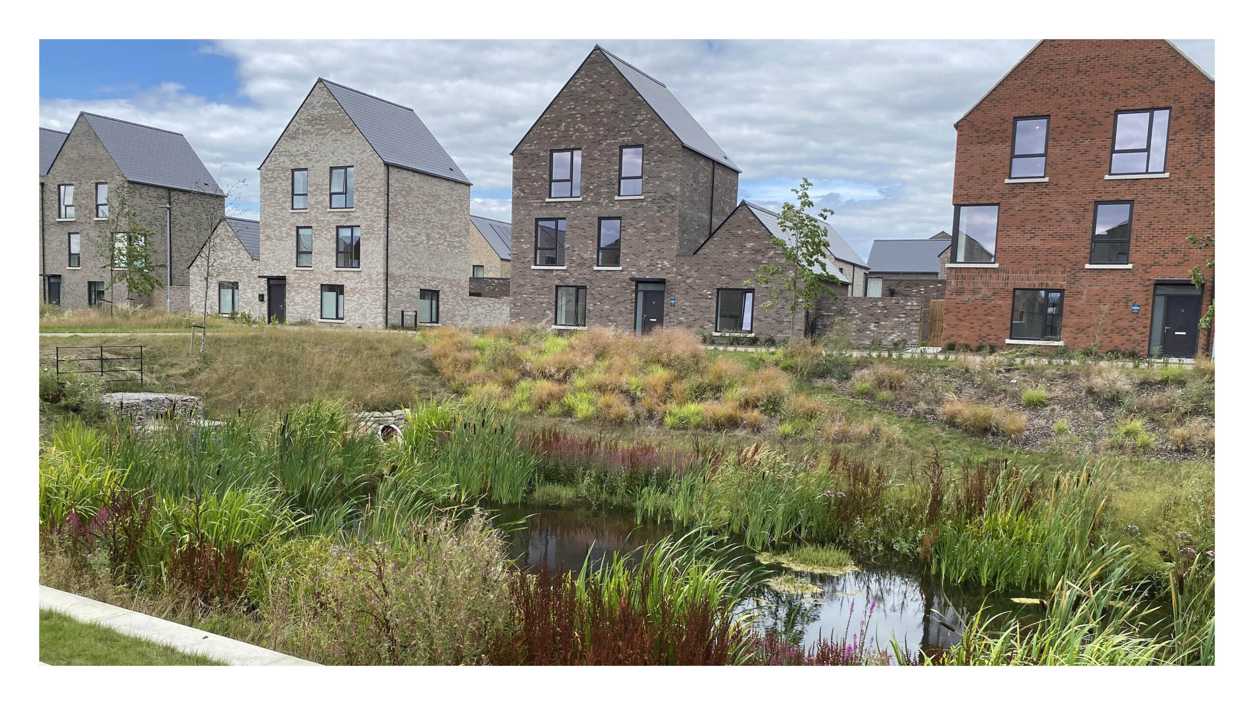 Homes fronting onto a well-designed pond - creating a central feature and adding to the sense of place. Marleigh, Cambridge (Homes England)