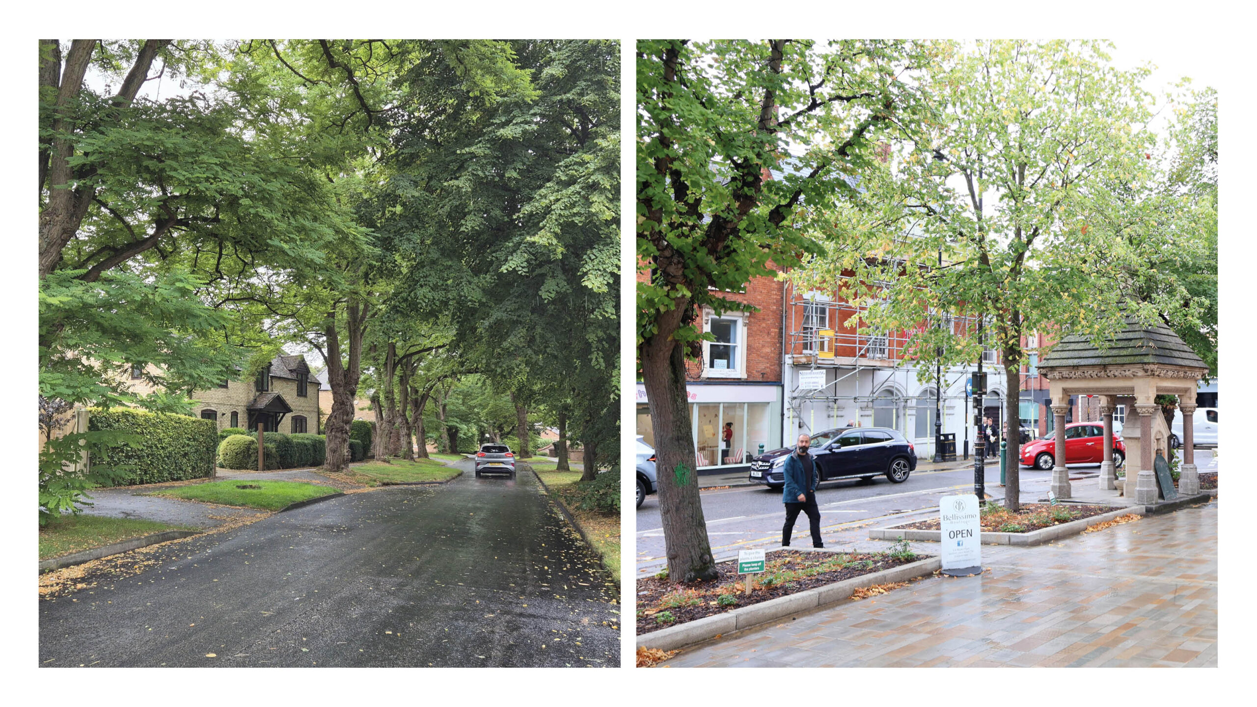 Tree lined streets in Lincolnshire. Harmston and Sleaford.