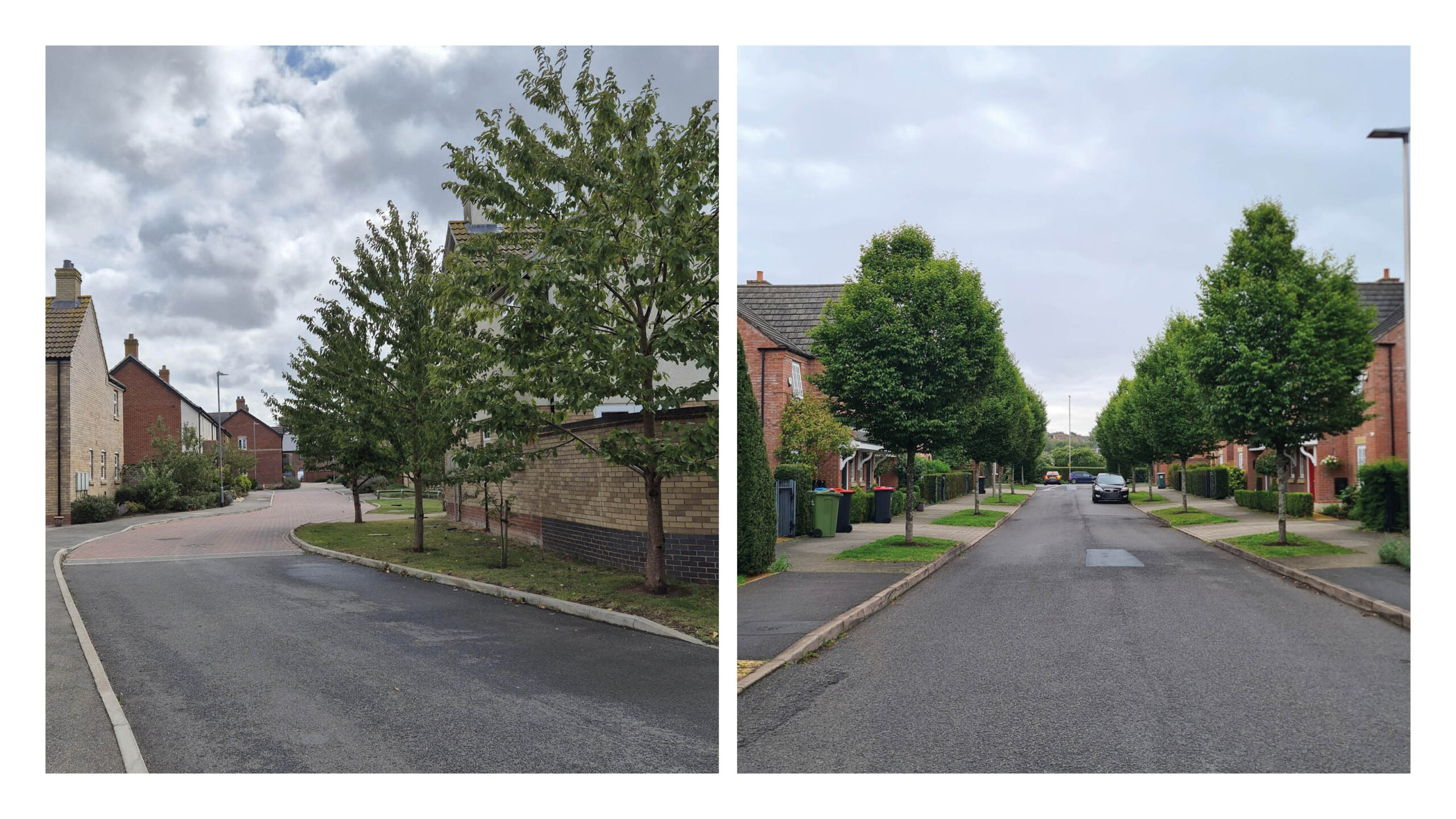 Examples of trees planted within verges. Boston and Winnington