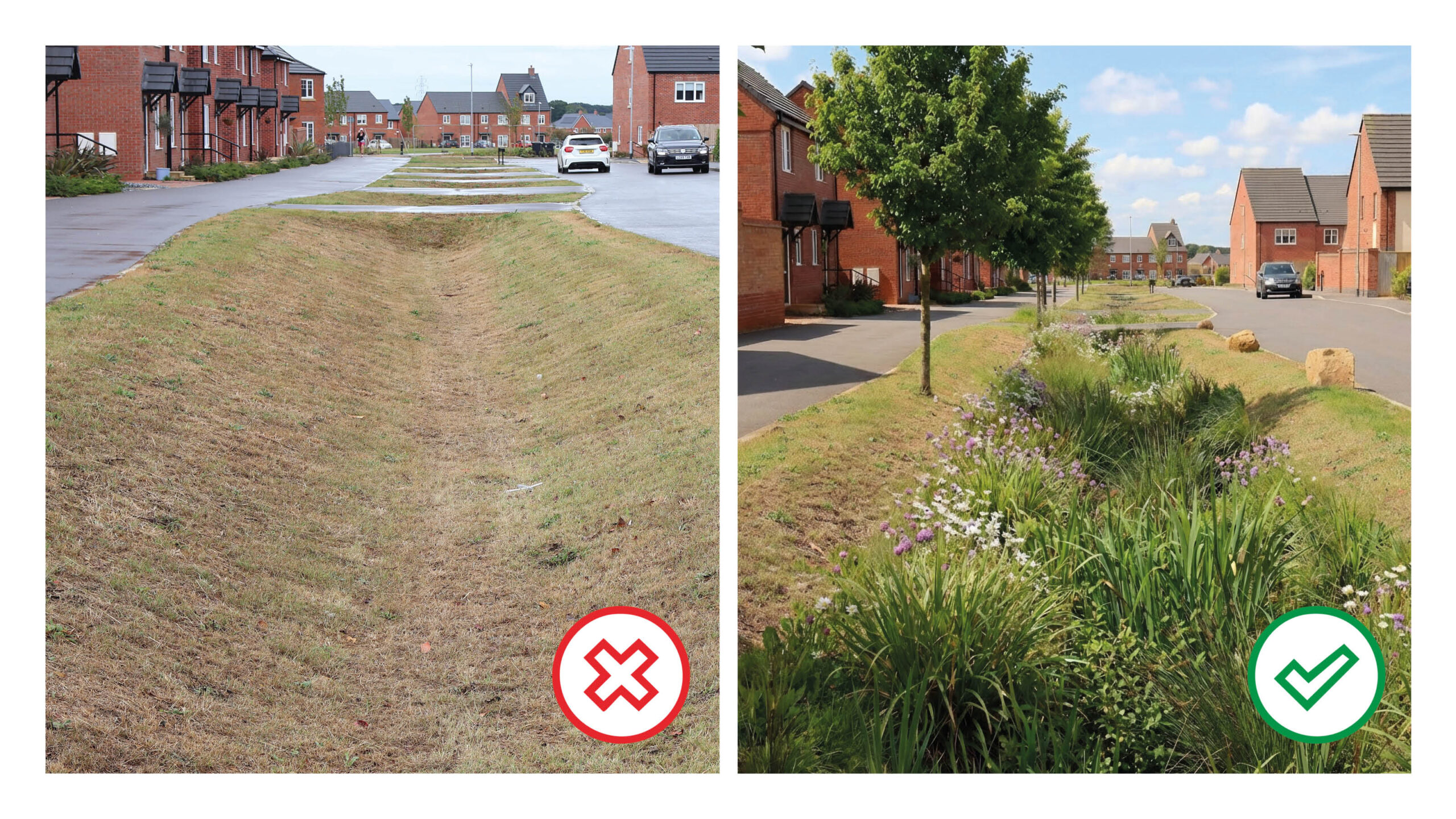 Before and after - Swale with and without trees