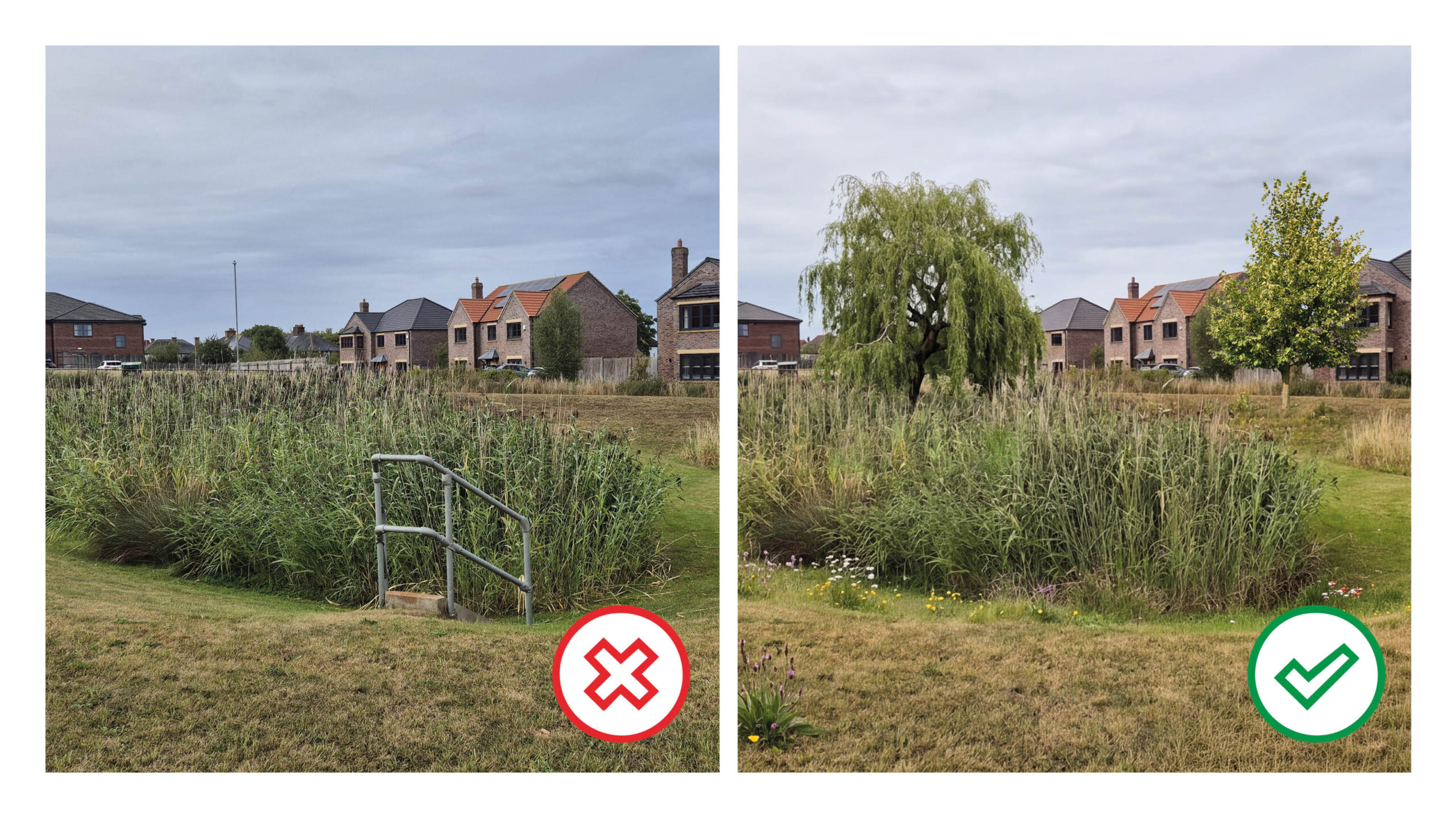 Before and after - Basin with and without trees