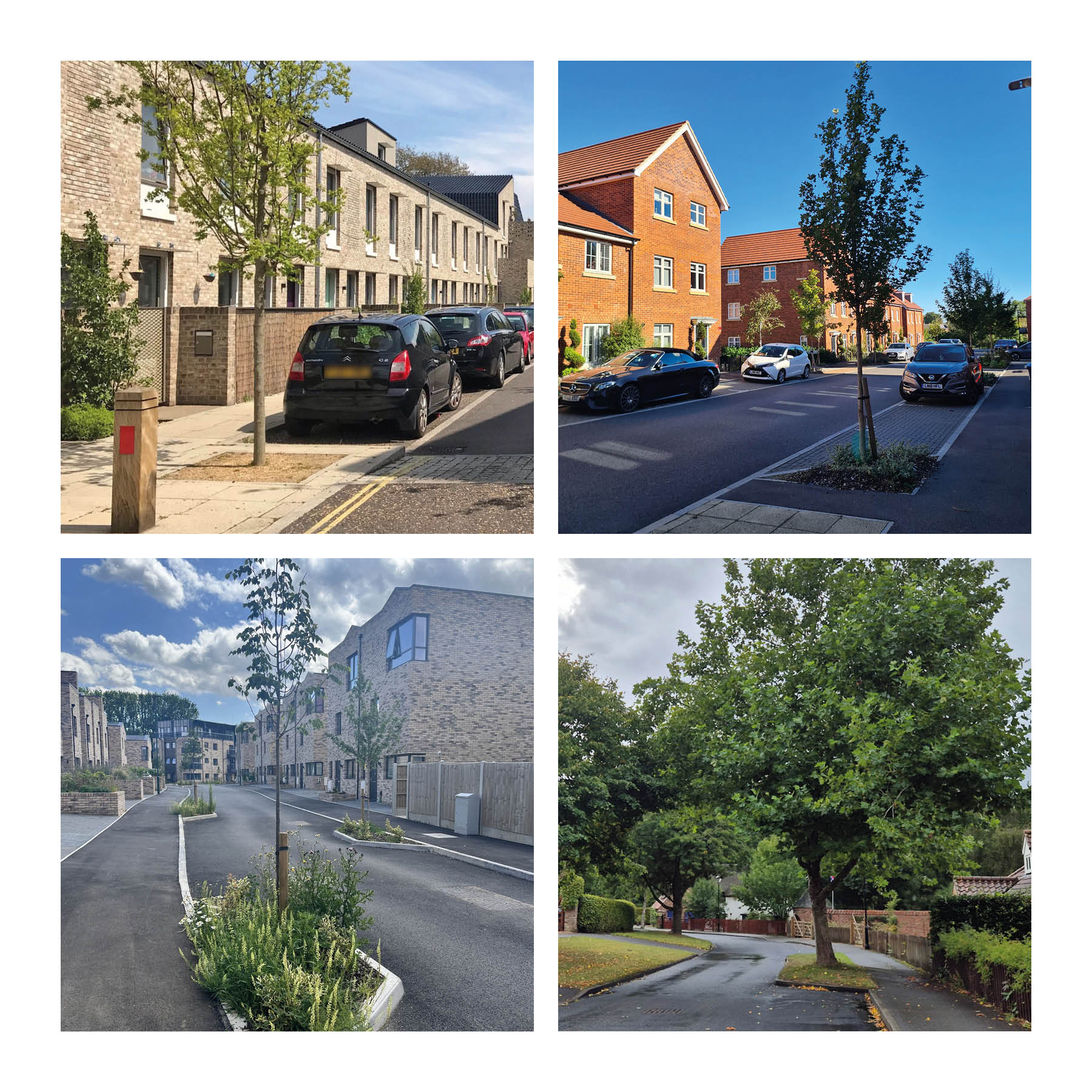 Examples of street trees in buildouts. Clockwise from top left: Goldsmith Street, Norwich, Chase Farm, Enfield, Trent Basin, Nottingham and Harmston, Lincolnshire.